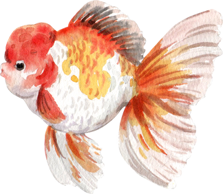 Fish Watercolor Painting